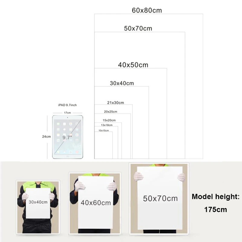 Woodland Animal Illustration Wall Art Poster - Image 10